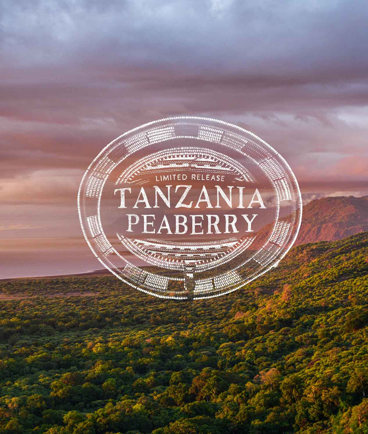 Scenic landscape with 'Tanzania Peaberry' coffee label overlay