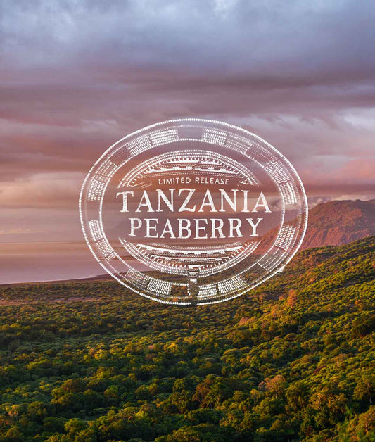 Scenic landscape with 'Tanzania Peaberry' coffee label overlay