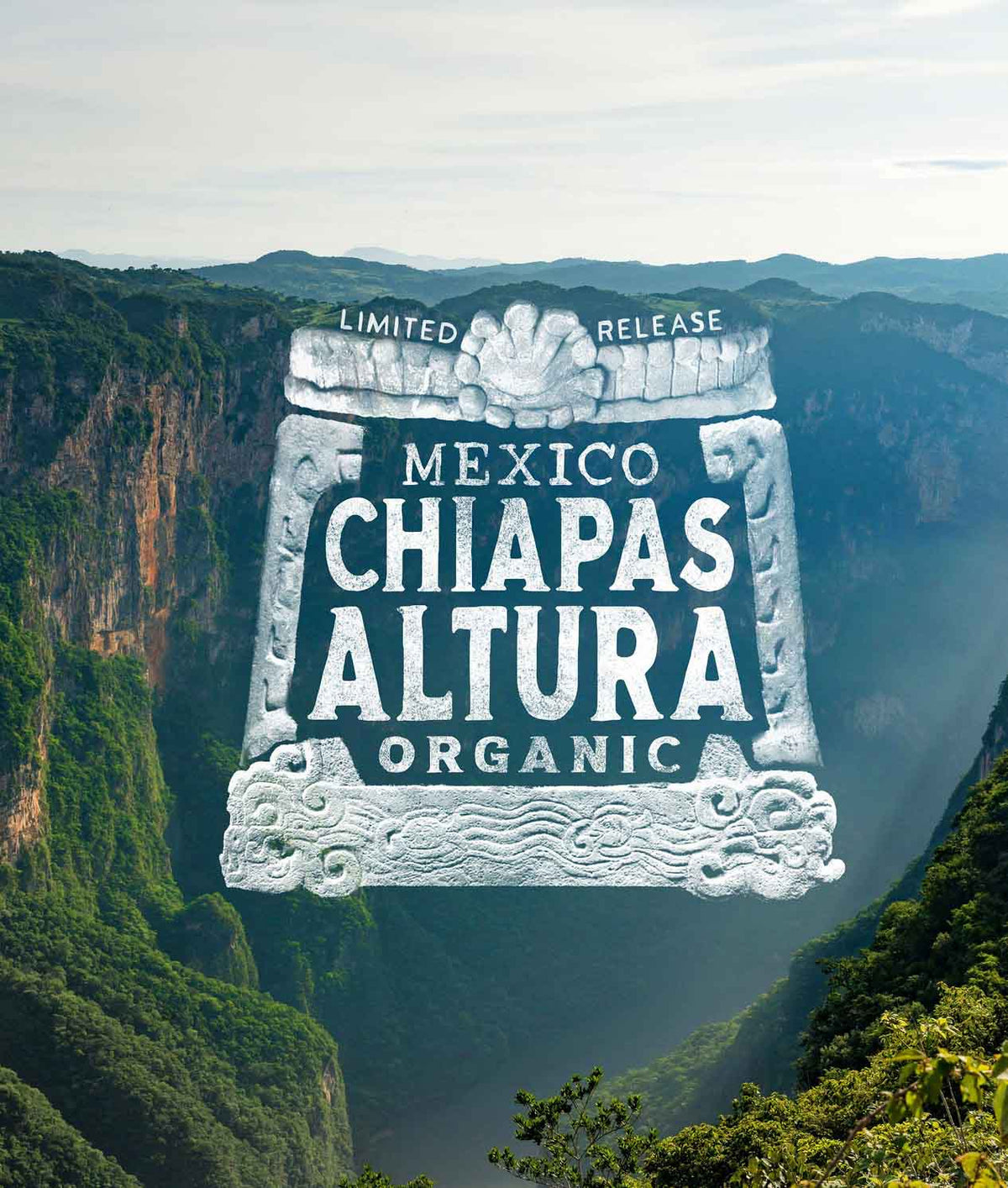 Mexico Chiapas Altura Organic
