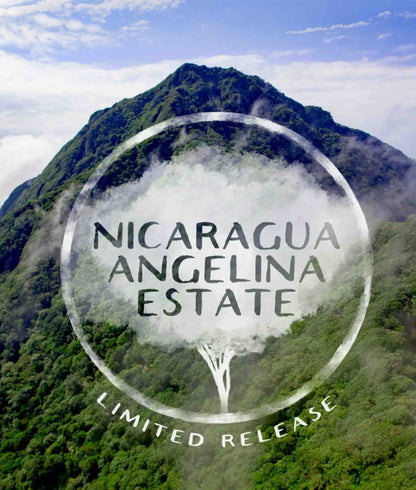 Mountainous landscape with 'Nicaragua Angelina Estate' text overlay