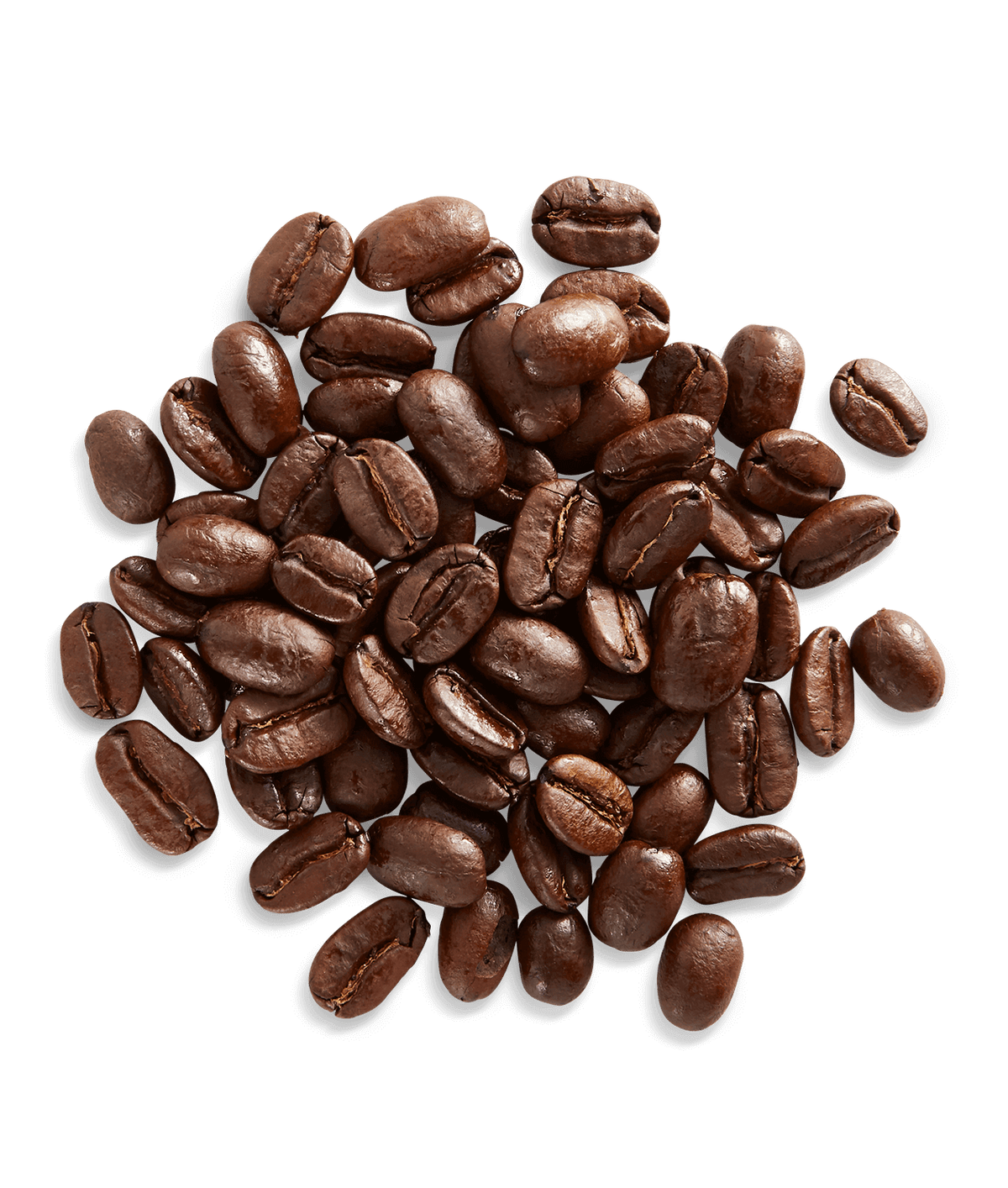Peet's New Guinea Highlands Coffee beans shown up close with detail