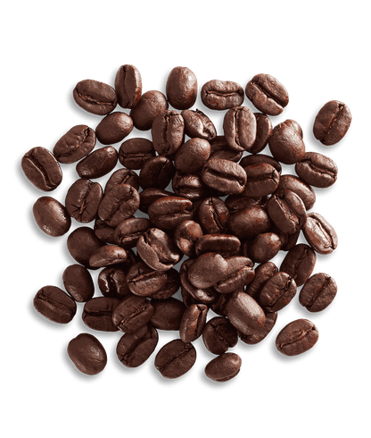 Peet's Nicaragua Angelina Estate Coffee beans shown up close with detail